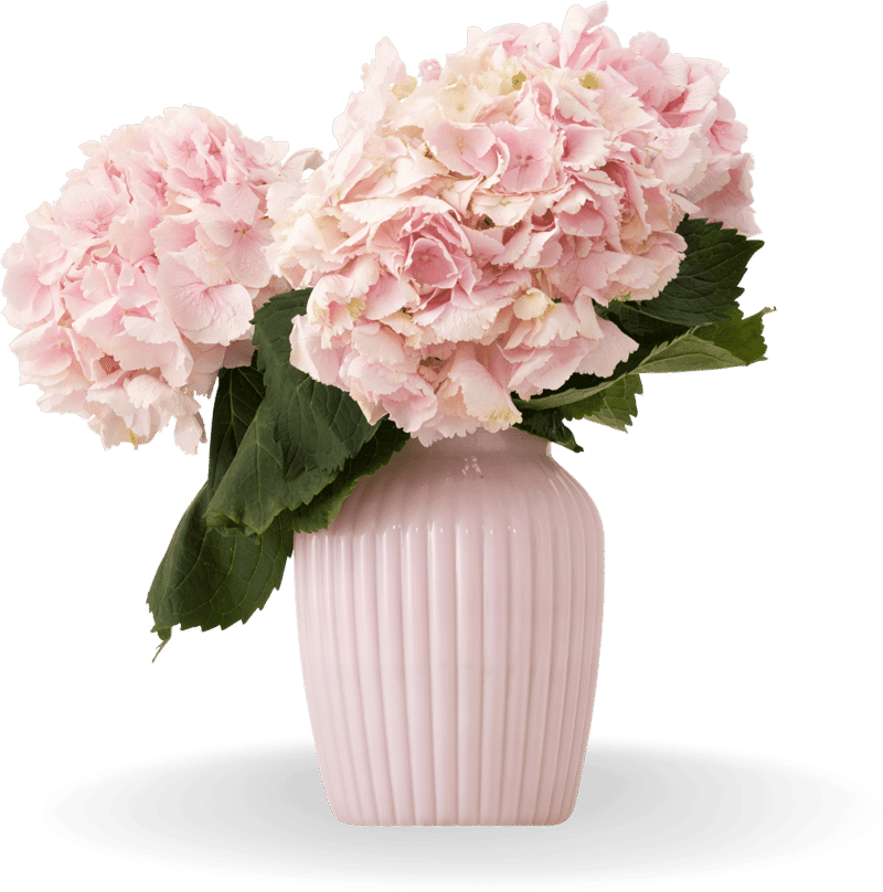 Flower Care Tip: Wash Your Vases