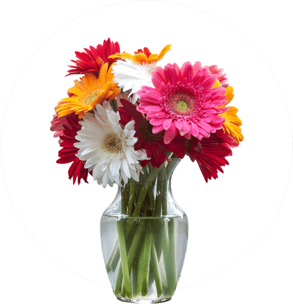daisy vase